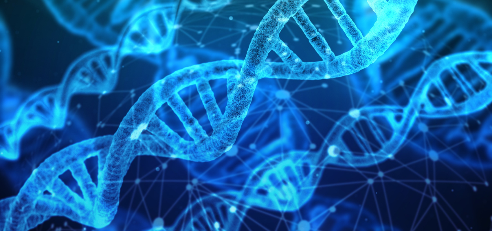 web recursos – pagina estudios geneticos 2